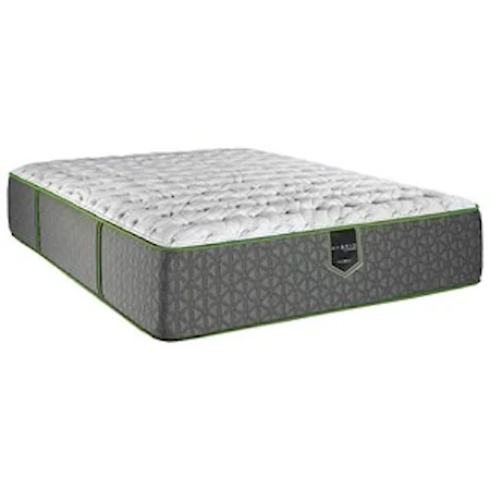 Queen Extra Firm Hybrid Mattress and Prodigy Lumbar Adjustable Base